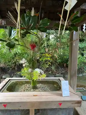 赤坂氷川神社(東京都)