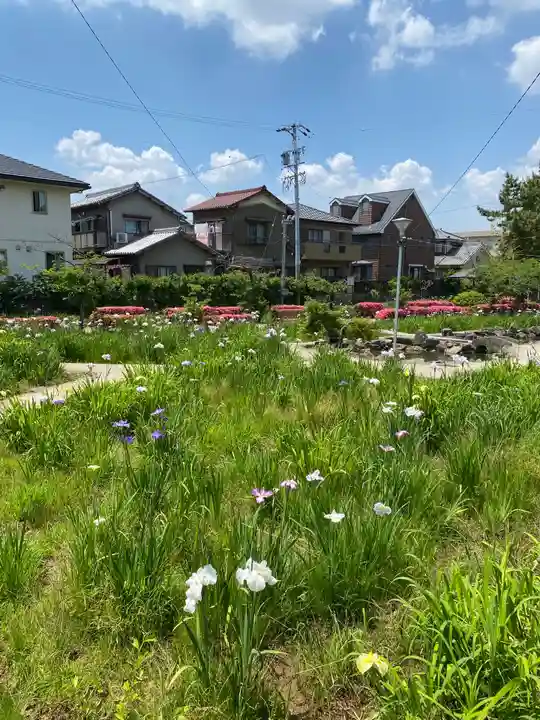 知立神社の自然