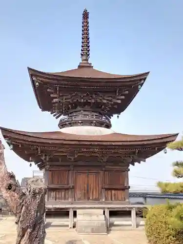 大樹寺（松安院大樹寺）の塔