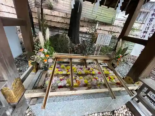 東京大神宮(東京都)