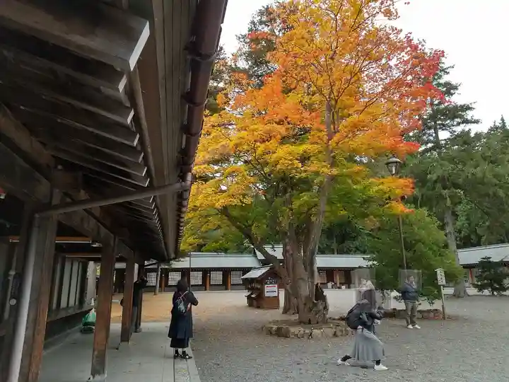 北海道神宮の自然