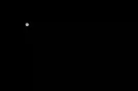 くまくま神社(導きの社 熊野町熊野神社)の自然