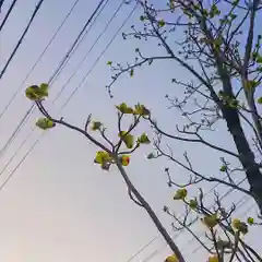 尾張大國霊神社（国府宮）の自然