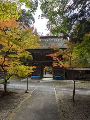 大矢田神社の山門