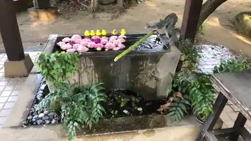 柏神社の手水舎