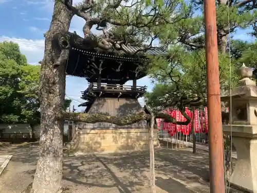 葛井寺(大阪府)