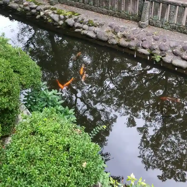 根津神社のその他建物