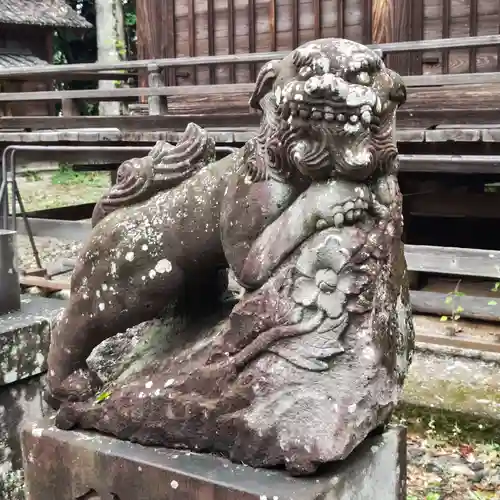 八幡神社の狛犬