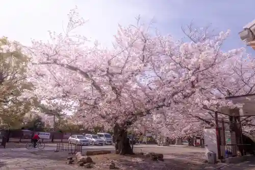 阿部野神社の景色