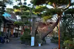 養玉院如来寺の自然