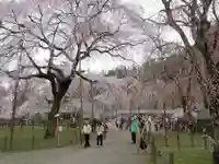 清雲寺の景色