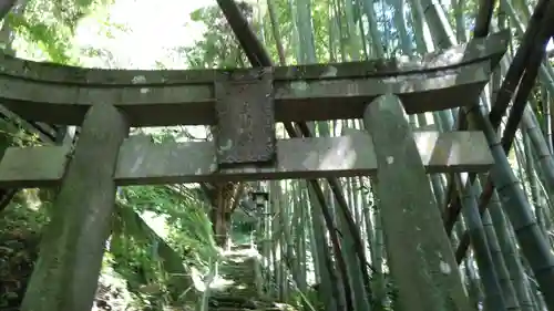 皇大神宮の鳥居