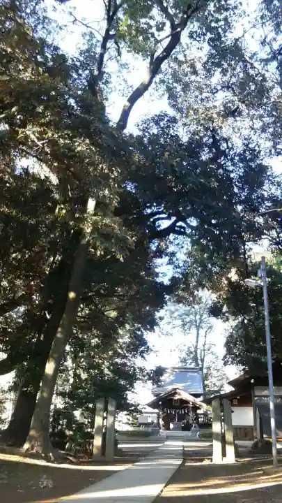 大間木氷川神社(埼玉県)