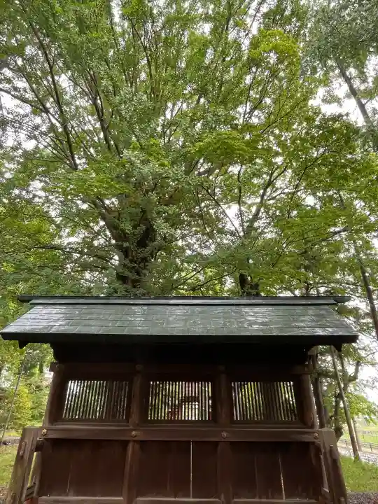 鞆江神社(明地)の{uncategorized: "未分類", other: "その他", undefined: "問題あり", building: "その他建物", grave: "お墓", sacred_gate: "鳥居", guardian: "狛犬", statue: "像", buddha: "仏像", history: "歴史", nature: "自然", garden: "庭園", animal: "動物", pagoda: "塔", temizu: "手水舎", mountain_gate: "山門・神門", sanctuary: "本殿・本堂", subordinate: "末社・摂社", art: "芸術", scenery: "景色", jizo: "地蔵", ema: "絵馬", goshuin: "御朱印", omikuji: "おみくじ", items: "授与品その他", amulet: "お守り", goshuincho: "御朱印帳", eats: "食事", festival: "お祭り", votive_dance: "神楽", shichigosan: "七五三参", wedding: "結婚式", experience: "体験その他", initially: "初詣", around: "周辺", anti_infection: "感染症対策"}