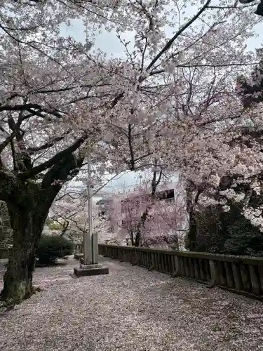 宇都宮二荒山神社の{uncategorized: "未分類", other: "その他", undefined: "問題あり", building: "その他建物", grave: "お墓", sacred_gate: "鳥居", guardian: "狛犬", statue: "像", buddha: "仏像", history: "歴史", nature: "自然", garden: "庭園", animal: "動物", pagoda: "塔", temizu: "手水舎", mountain_gate: "山門・神門", sanctuary: "本殿・本堂", subordinate: "末社・摂社", art: "芸術", scenery: "景色", jizo: "地蔵", ema: "絵馬", goshuin: "御朱印", omikuji: "おみくじ", items: "授与品その他", amulet: "お守り", goshuincho: "御朱印帳", eats: "食事", festival: "お祭り", votive_dance: "神楽", shichigosan: "七五三参", wedding: "結婚式", experience: "体験その他", initially: "初詣", around: "周辺", anti_infection: "感染症対策"}
