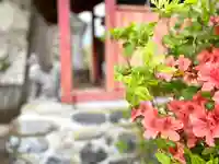 稲荷社のその他建物