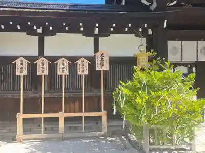 賀茂御祖神社（下鴨神社）(京都府)