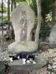 玉野御嶽神社の動物