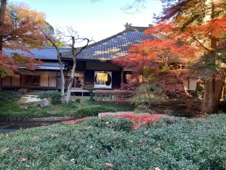 明月院(神奈川県)