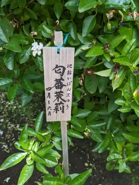 長谷寺(神奈川県)