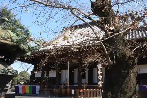 寛永寺(根本中堂)(東京都)
