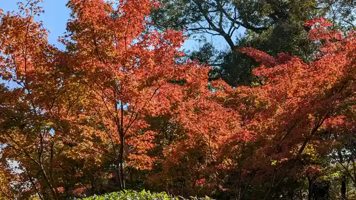 法寳閣檀林寺(京都府)