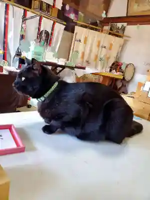 高司神社〜むすびの神の鎮まる社〜(福島県)