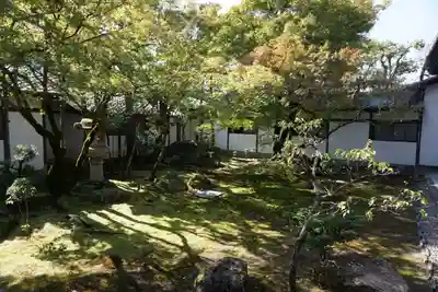 仁和寺(京都府)