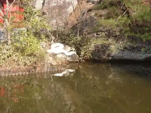 大谷寺の庭園