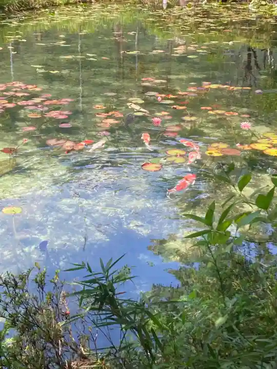 根道神社(岐阜県)