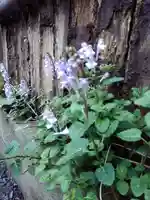 於三稲荷神社の庭園