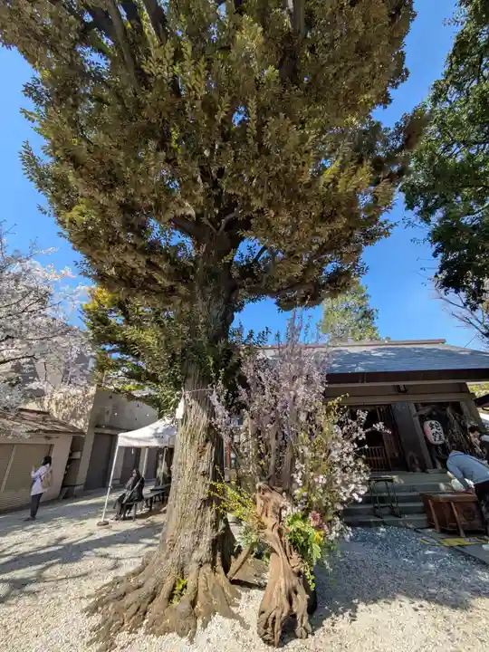 蛇窪神社(東京都)
