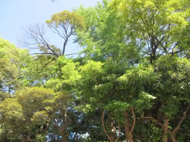 稲毛神社(神奈川県)