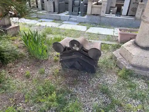 専念寺の{uncategorized: "未分類", other: "その他", undefined: "問題あり", building: "その他建物", grave: "お墓", sacred_gate: "鳥居", guardian: "狛犬", statue: "像", buddha: "仏像", history: "歴史", nature: "自然", garden: "庭園", animal: "動物", pagoda: "塔", temizu: "手水舎", mountain_gate: "山門・神門", sanctuary: "本殿・本堂", subordinate: "末社・摂社", art: "芸術", scenery: "景色", jizo: "地蔵", ema: "絵馬", goshuin: "御朱印", omikuji: "おみくじ", items: "授与品その他", amulet: "お守り", goshuincho: "御朱印帳", eats: "食事", festival: "お祭り", votive_dance: "神楽", shichigosan: "七五三参", wedding: "結婚式", experience: "体験その他", initially: "初詣", around: "周辺", anti_infection: "感染症対策"}