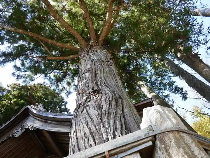 矢彦神社のその他建物
