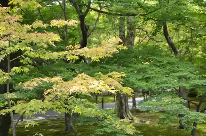 東福禅寺(東福寺)(京都府)