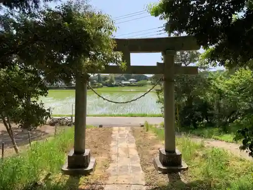 天御中主神社の鳥居