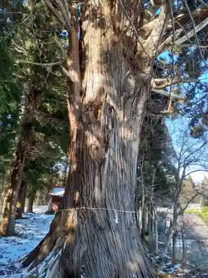 秋葉神社(岩手県)