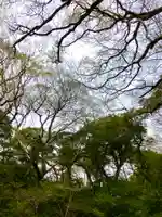 八坂神社(千葉県)