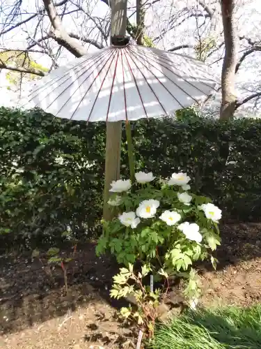 鶴岡八幡宮の{uncategorized: "未分類", other: "その他", undefined: "問題あり", building: "その他建物", grave: "お墓", sacred_gate: "鳥居", guardian: "狛犬", statue: "像", buddha: "仏像", history: "歴史", nature: "自然", garden: "庭園", animal: "動物", pagoda: "塔", temizu: "手水舎", mountain_gate: "山門・神門", sanctuary: "本殿・本堂", subordinate: "末社・摂社", art: "芸術", scenery: "景色", jizo: "地蔵", ema: "絵馬", goshuin: "御朱印", omikuji: "おみくじ", items: "授与品その他", amulet: "お守り", goshuincho: "御朱印帳", eats: "食事", festival: "お祭り", votive_dance: "神楽", shichigosan: "七五三参", wedding: "結婚式", experience: "体験その他", initially: "初詣", around: "周辺", anti_infection: "感染症対策"}