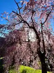 廣徳寺(長野県)