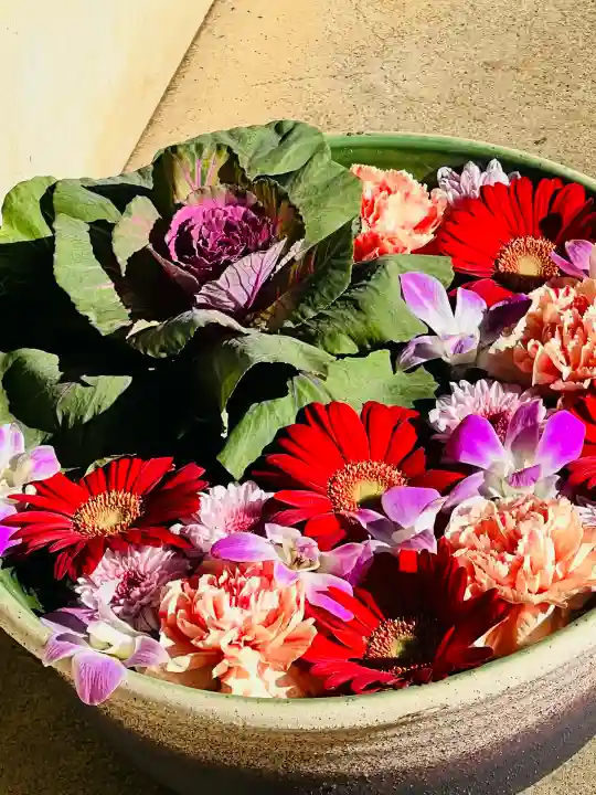 慈光寺(弓田ポックリ不動尊)の{uncategorized: "未分類", other: "その他", undefined: "問題あり", building: "その他建物", grave: "お墓", sacred_gate: "鳥居", guardian: "狛犬", statue: "像", buddha: "仏像", history: "歴史", nature: "自然", garden: "庭園", animal: "動物", pagoda: "塔", temizu: "手水舎", mountain_gate: "山門・神門", sanctuary: "本殿・本堂", subordinate: "末社・摂社", art: "芸術", scenery: "景色", jizo: "地蔵", ema: "絵馬", goshuin: "御朱印", omikuji: "おみくじ", items: "授与品その他", amulet: "お守り", goshuincho: "御朱印帳", eats: "食事", festival: "お祭り", votive_dance: "神楽", shichigosan: "七五三参", wedding: "結婚式", experience: "体験その他", initially: "初詣", around: "周辺", anti_infection: "感染症対策"}