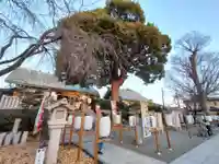 伊勢原大神宮(神奈川県)