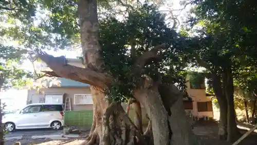 塙神社の建物その他