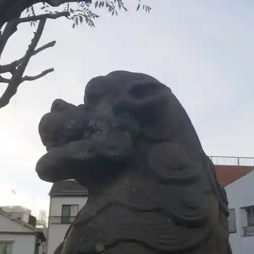 白髭神社の狛犬