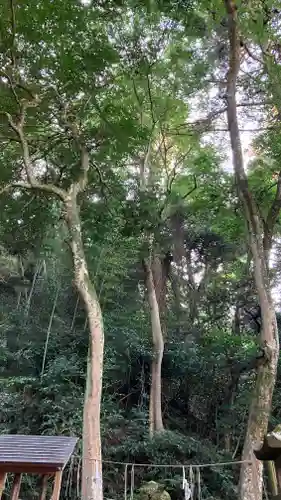 佐太神社の末社