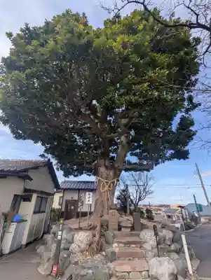 春ノ木神明社(神奈川県)
