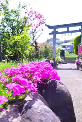 横浜御嶽神社(神奈川県)