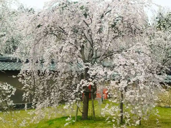 宝聚院(京都府)