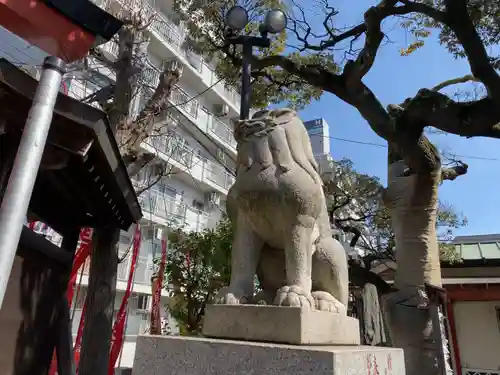 金刀比羅大鷲神社の狛犬